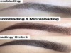 Is The Microblading Industry Growing? Microblading