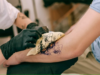 13 Things To Do For Taking Care Of Tattoos Tattoos