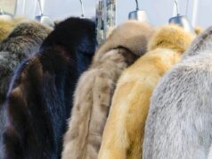 7 Essential Steps for Proper Storage of Your Fur Garments Fur