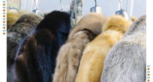 7 Essential Steps for Proper Storage of Your Fur Garments Fur